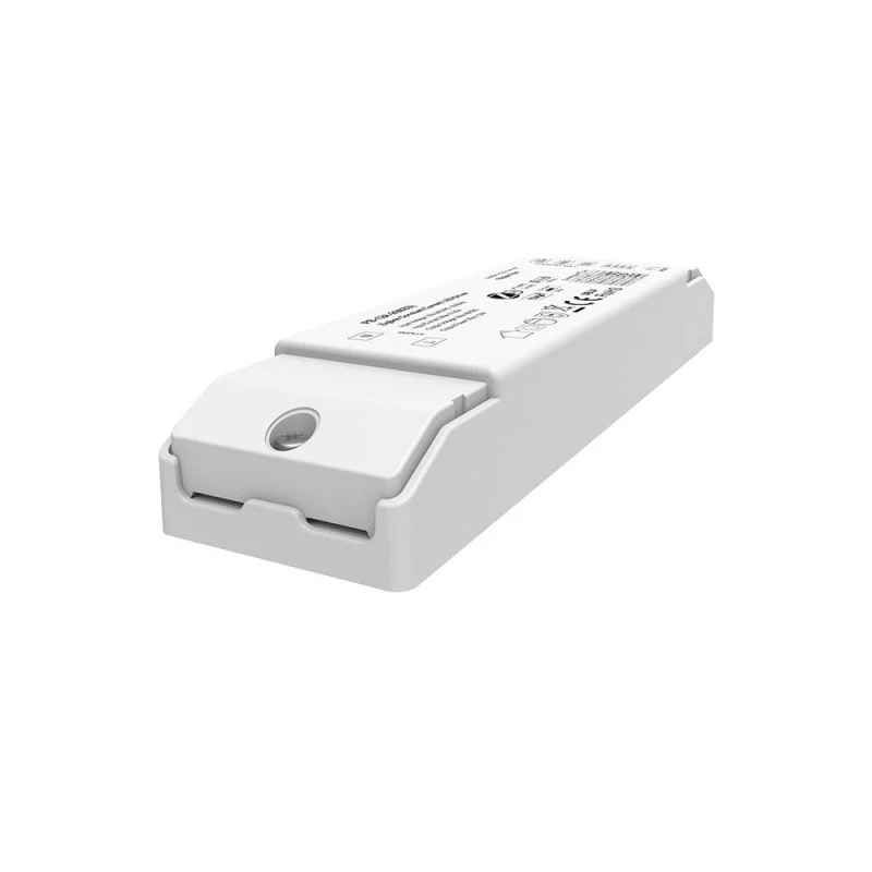 2-канальный светодиодный драйвер CCT ZigBee 3.0 постоянного тока (150–450 мА)